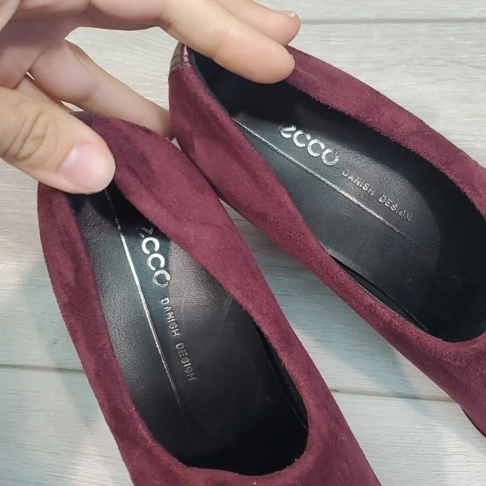Ecco new p4